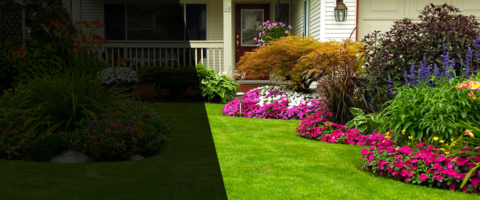 Marble Hill Landscapers