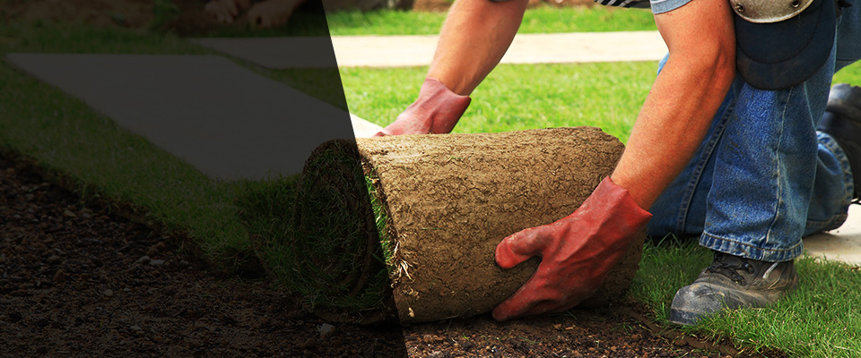 Marble Hill Landscapers